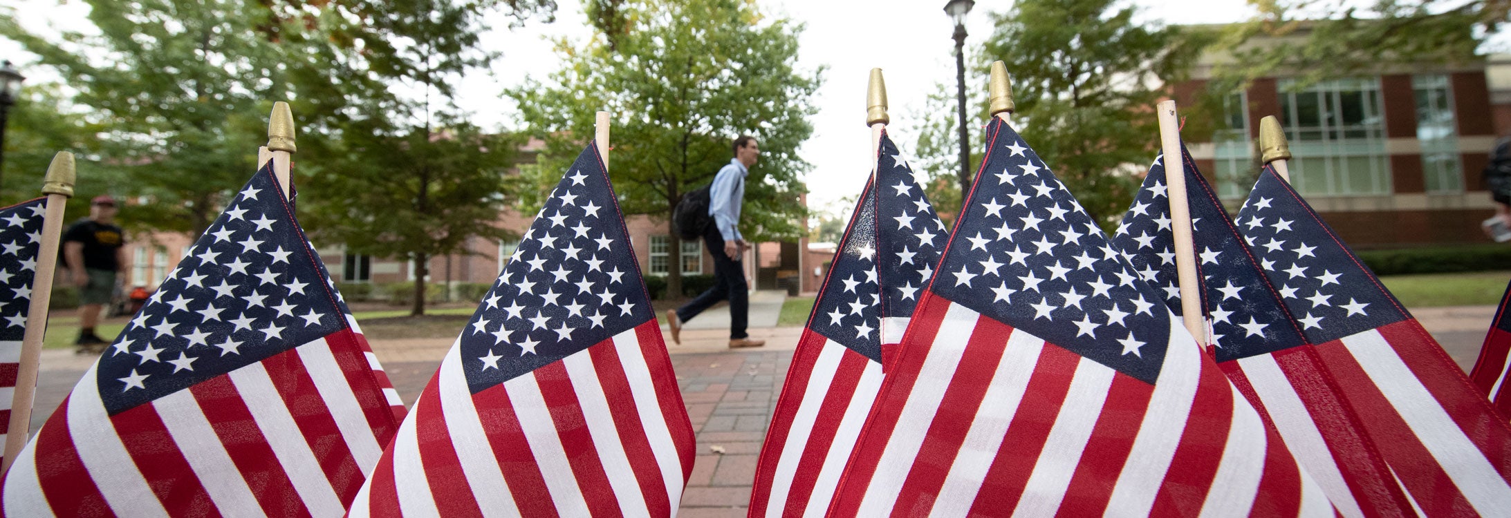 American flags on campus